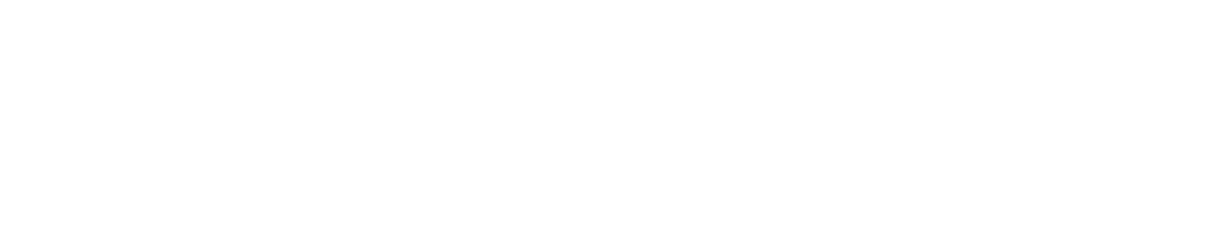 Herzing logo